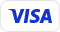 לוגו VISA